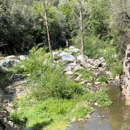 Descansar Piscina Cerca *